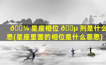 🌼 星座相位 🐵 刑是什么意思(星座里面的相位是什么意思)